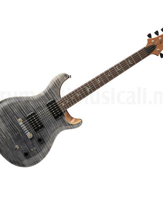 PRS SE Paul's Guitar