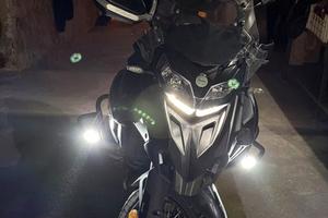 Trk benelli 2023 502x