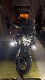 Trk benelli 2023 502x
