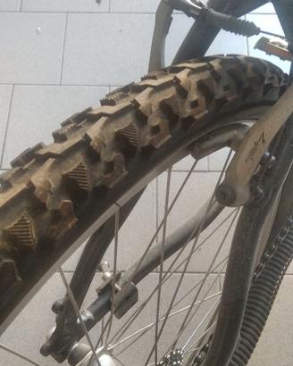 Bicicletta