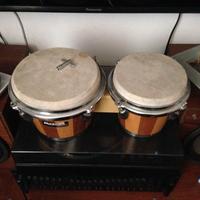 BONGOS