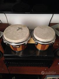 BONGOS