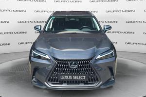 Lexus NX Plug-in Premium+ 4WD