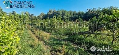 2 lotti di terreno a marina di cottone fiumefreddo
