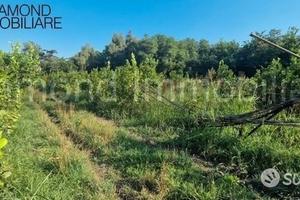 2 lotti di terreno a marina di cottone fiumefreddo