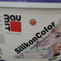 PITTURA SILOSSANICA BIANCO BEIGE 14 Litri