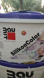 PITTURA SILOSSANICA BIANCO BEIGE 14 Litri