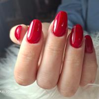 Onicotecnica o Segretaria