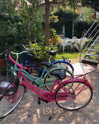 Bicicletta verde olandesi, unisex