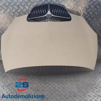 COFANO ANTERIORE LANCIA YPSILON (03-06)