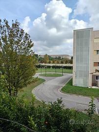 Appartamento 120mq zona Reggia