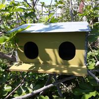casina per uccelli