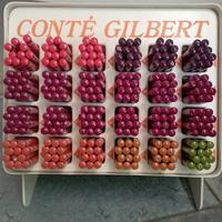 Espositore vintage di campionmatite Conté Gilbert 