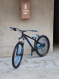 rock rider st120 kittata