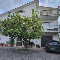 2 LOCALI A SANT'ELIA FIUMERAPIDO