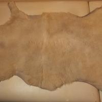 SCENDILETTO PECORA - VINTAGE