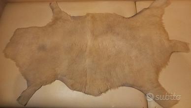 SCENDILETTO PECORA - VINTAGE