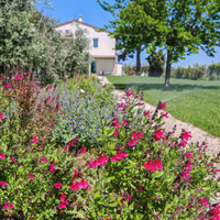 Tra mare e collina -casale con piscina