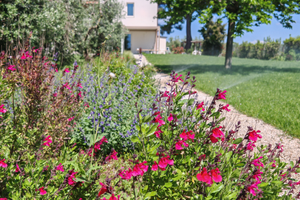 Tra mare e collina -casale con piscina