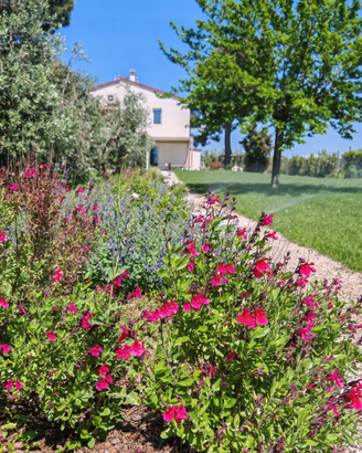 Tra mare e collina -casale con piscina