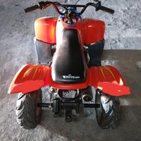 Altro Altro modello - 2010