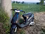 Immagine 1
