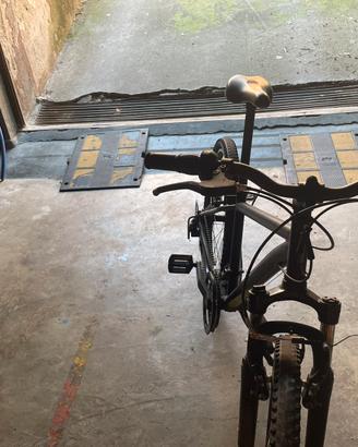 Bicicletta ragzzi