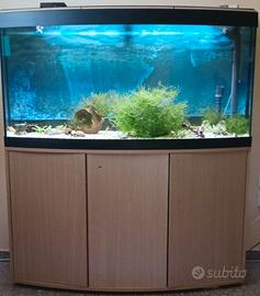 acquario