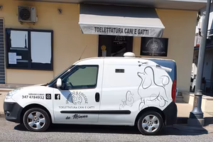 Fiat doblo 1.3 Multijet 