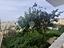 Immagine 28