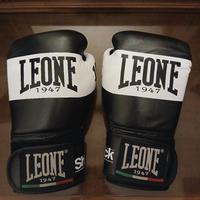 Guantoni Leone Shock 10 Oz