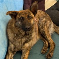 Adam pronto per scoprire il mondo