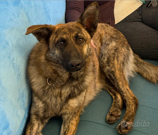 Adam pronto per scoprire il mondo