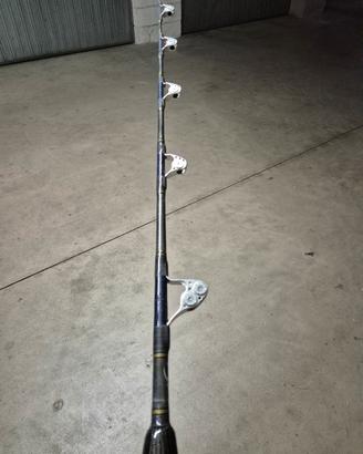 canna da tonno 30/50 lbs