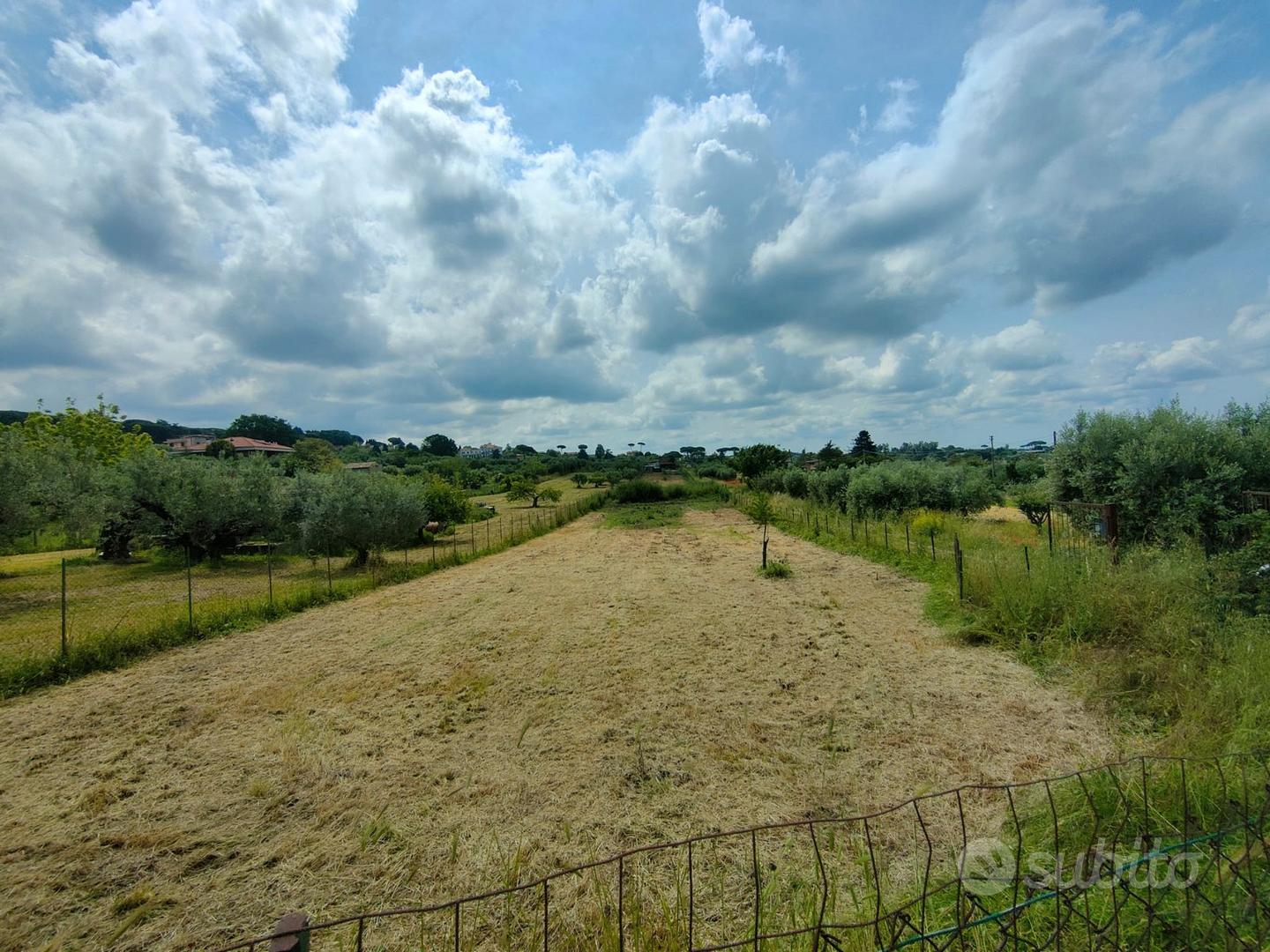 Rif.79 Terreno Agricolo C/Magaz. Castel Gandolfo - Vista 3