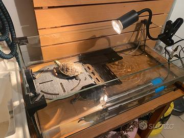 2 Tartarughe d'Acqua + Acquario Completo Zolux