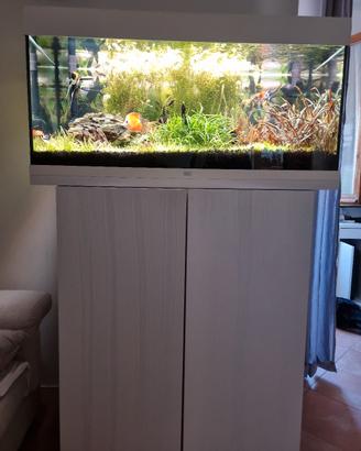 Acquario juwel rio 180 litri