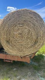 Fieno 1 taglio