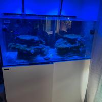 Acquario Waterbox Reef 130