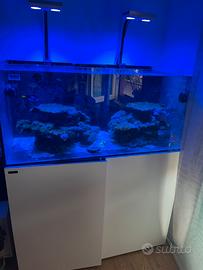 Acquario Waterbox Reef 130