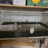 gabbia per conigli 