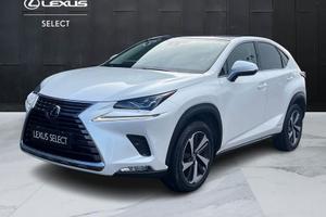 Lexus NX 300h 2.5 Luxury 4wd cvt IVA ESPOSTA