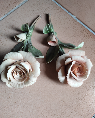 Rose di Capodimonte