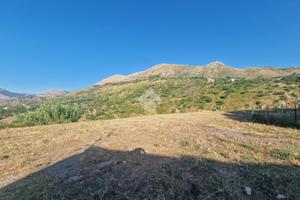 TER. AGRICOLO A CARINI
