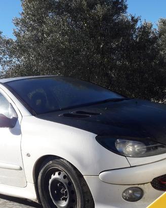 206 xs