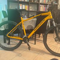 Mtb 29