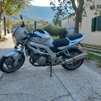 Suzuki SV 1000