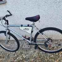 bicicletta  uomo/ ragazzo