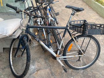 N 4 bici
