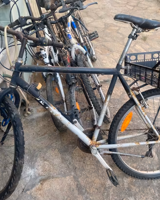 N 4 bici